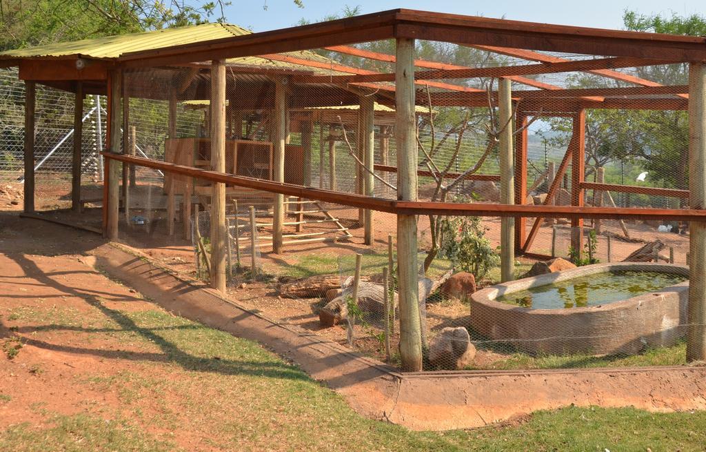 Ebundu Lodge White River Εξωτερικό φωτογραφία